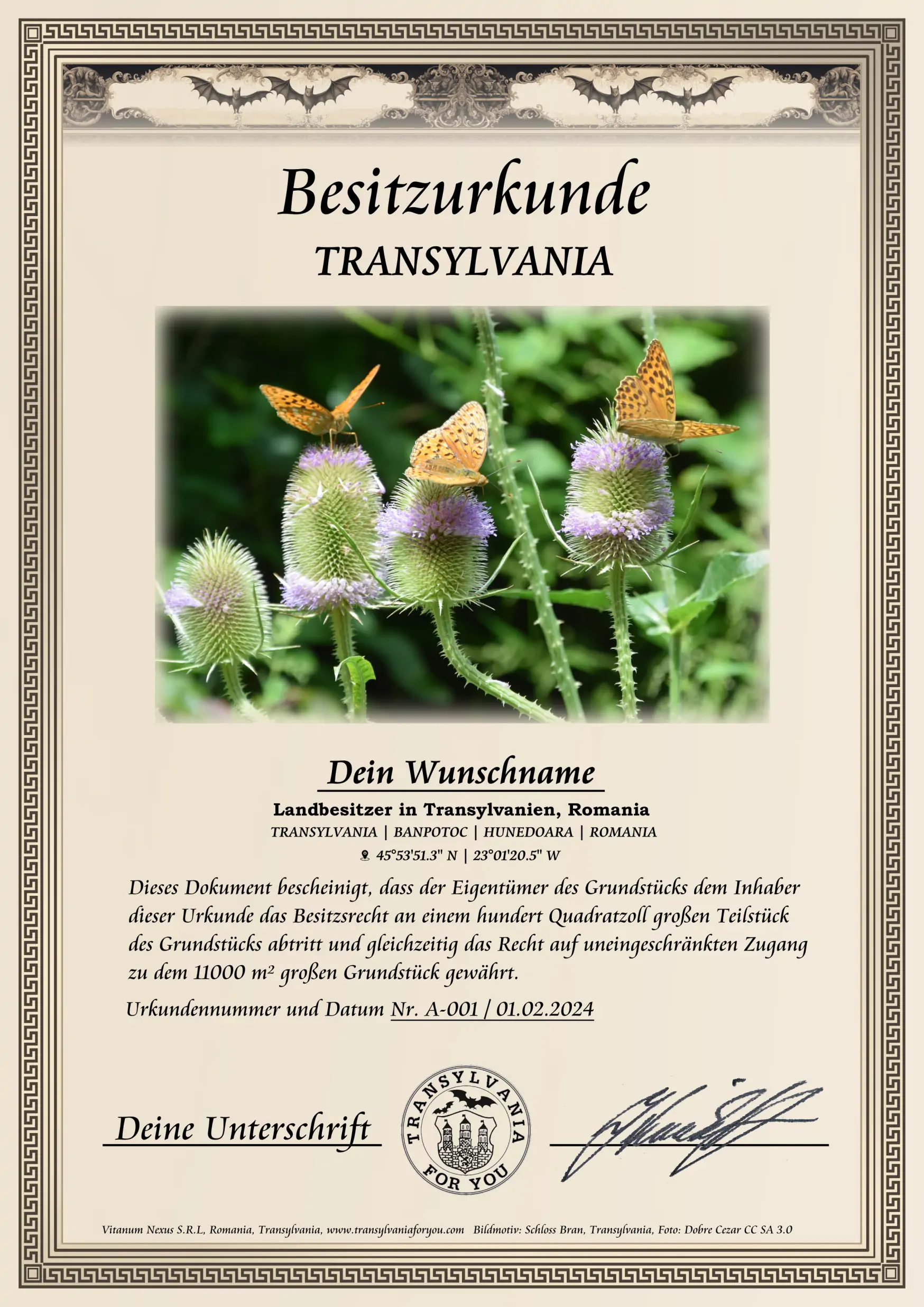 Urkunde mit Bildmotiv: Schmetterlinge auf einer wilden Karde